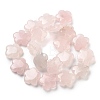Natural Rose Quartz Beads Strands G-F769-X01-02-3