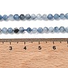 Natural Devil Blue Aquamarine Beads Strands G-P629-A02-03-5