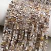 Natural Botswana Agate Beads Strands GG-CBA2498-C06-01-1