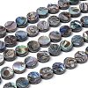 Natural Abalone Shell/Paua Shell Beads Strands LS-SSHEL-G003-5-8x3mm-1