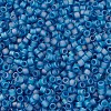 MIYUKI Delica Beads X-SEED-J020-DB0862-3