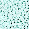 Opaque Glass Seed Beads SEED-N012-09A-06-3