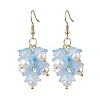 Flower Transparent Spray Painted Glass Cluster Earrings EJEW-JE05741-4