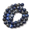 Natural Lapis Lazuli Round Bead Strands G-E262-01-10mm-5