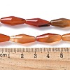 Dyed & Heated Natural Carnelian Beads Strands G-Q019-A02-4