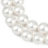 Electroplated Shell Pearl Beads Strands BSHE-G027-13C-4