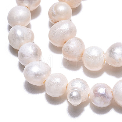 Natural Cultured Freshwater Pearl Beads Strands PEAR-N013-04E-1