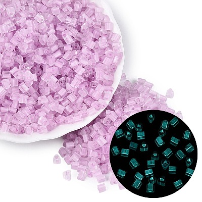 FGB Grade A Frosted Glass Seed Beads SEED-Q040-04A-06-1