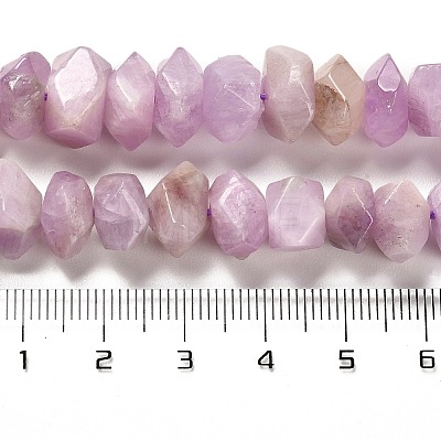 Natural Kunzite Beads Strands G-N327-05-10-1