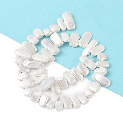 Electroplated Shell Pearl Beads Strands BSHE-C007-B01-01-1