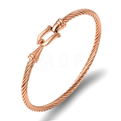 Unisex Titanium Steel Wire Rope Bangles with Hook Clasps JH3580-3-1