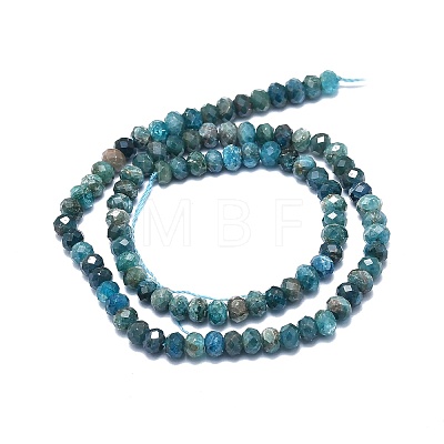 Natural Apatite Beads Strands G-F715-101B-1