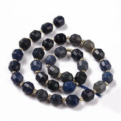 Natural Blue Aventurine Beads Strands G-G990-F02-1