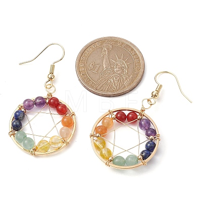 Natural Mixed Gemstone Round Beaded Dangle Earrings EJEW-JE05456-01-1
