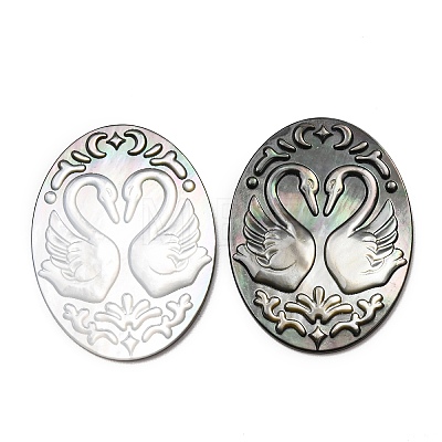Natural Black Lip Shell Carved Cabochons SHEL-G024-04-1