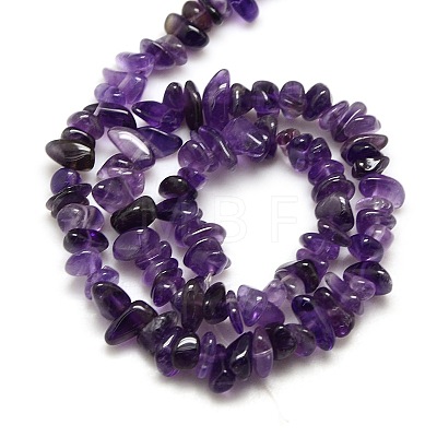 Natural Amethyst Chips Beads Strands X-G-P030-02-1