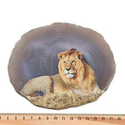 Printed Natural Agate Slice Stone Ornament DJEW-M011-04E-1