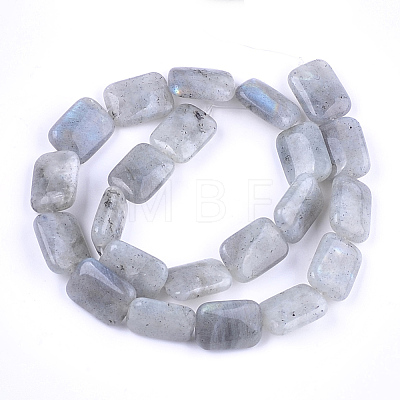 Natural Labradorite Beads Strands X-G-T121-13-1