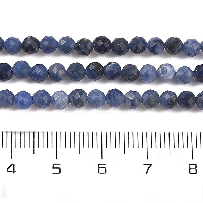 Natural Sodalite Beads Strands G-B088-C25-04-1