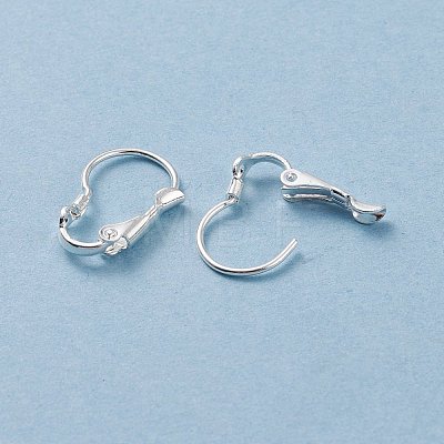 304 Stainless Steel Leverback Earring Findings STAS-H380-08S-1