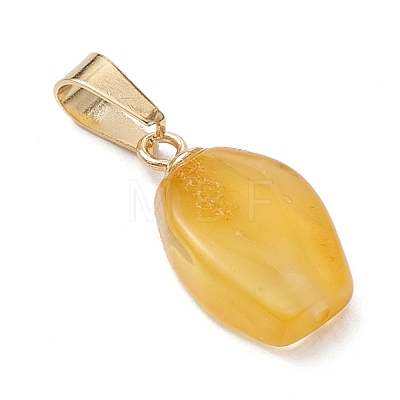 Gradient Color Natural Amber Pendants PALLOY-JF04930-02-1