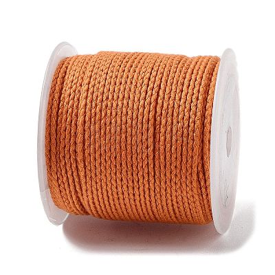 20M Polyester Braided Cord for Jewelry Making OCOR-G015-04A-19-1