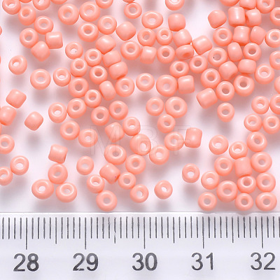 6/0 Baking Paint Glass Round Seed Beads SEED-S036-01C-17-1