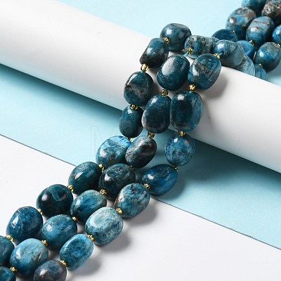 Natural Apatite Beads Strands G-B028-B09-1