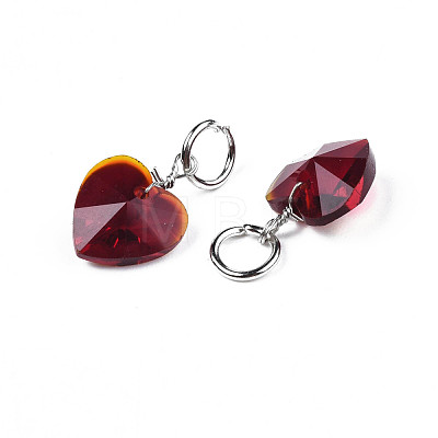 Faceted Transparent Glass Charms GLAA-T024-04H-1