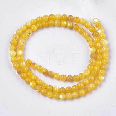Yellow Shell Beads Strands SHEL-T012-50C-1
