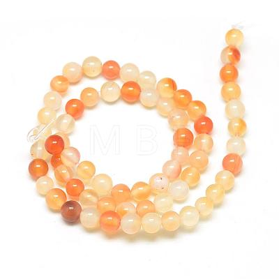 Natural Carnelian Beads Strands G-Q462-10mm-45-1