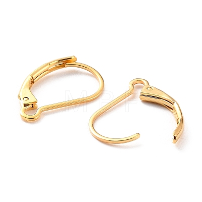 Ion Plating(IP) 304 Stainless Steel Leverback Earring Findings X-STAS-K233-04G-01-1