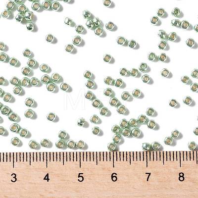 TOHO Round Seed Beads SEED-JPTR08-PF0560-1