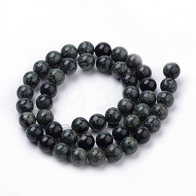 Natural Kambaba Jasper Beads Strands G-Q481-103-1