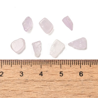 Natural Kunzite Chip Beads G-Q193-03A-1