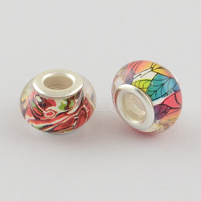 Large Hole Resin European Beads OPDL-R114-20B-1