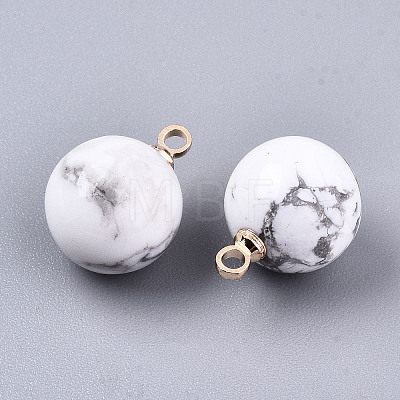 Natural Howlite Charms G-N332-024G-18-1