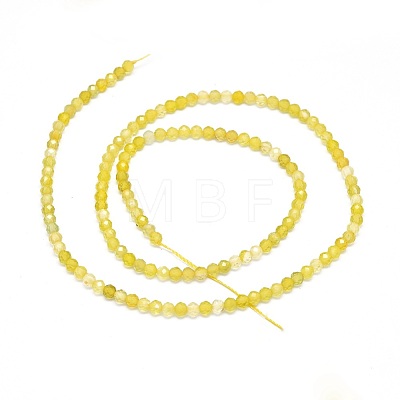 Natural Yellow Agate Beads Strands G-O180-05C-1