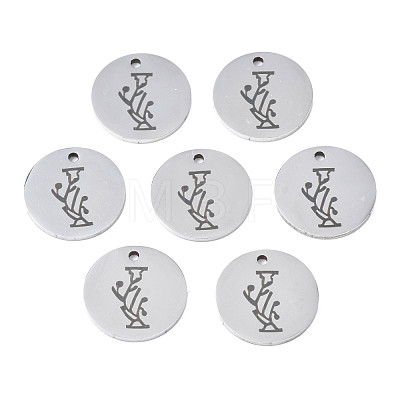 Non-Tarnish 304 Stainless Steel Charms STAS-T059-26P-I-1