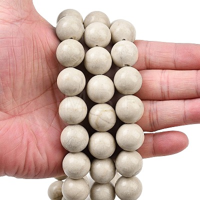 Natural Petrified Wood Beads Strands G-L648-A03-16mm-01-1