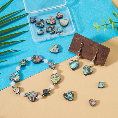 12Pcs 2 Styles Natural Abalone Shell/Paua Shell Beads SHEL-TA0001-41-1