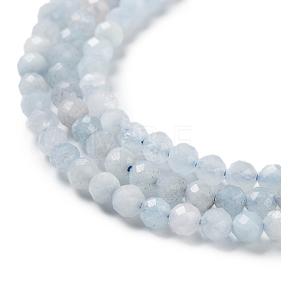 Natural Aquamarine Beads Strands G-J400-E18-01-1
