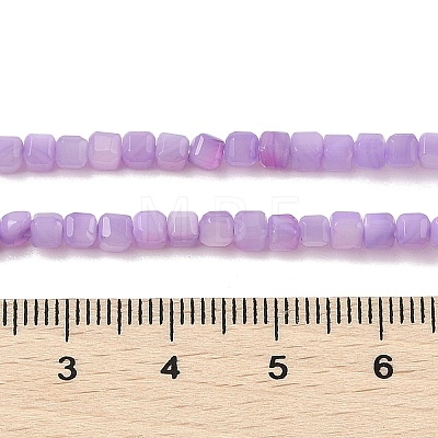 Natural Freshwater Shell Dyed Beads Strands SHEL-R100-11A-04-1