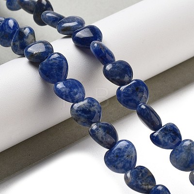 Natural Sodalite Beads Strands G-R190-10mm-37-1