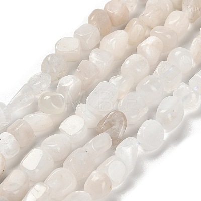 Natural Rainbow Moonstone Beads Strands G-P497-01E-69A-1