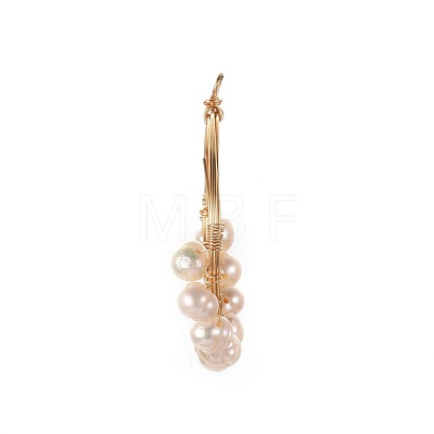Grade A Natural Cultured Freshwater Pearl Pendants PALLOY-JF00392-1