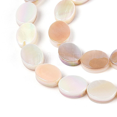 Electroplated Natural Freshwater Shell Beads Strands SHEL-N038-27-1