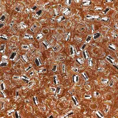 TOHO 6/0 Round Beads SEED-TR06-0031-1