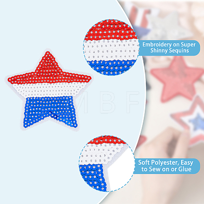 24Pcs 6 Style Star Computerized Embroidery Polyester Iron On Sequins Patches PATC-FH0001-03-1