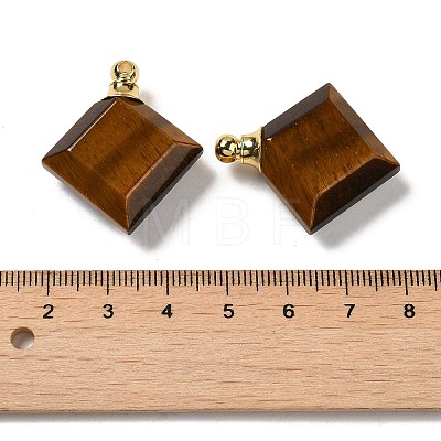 Natural Tiger Eye Perfume Bottle Pendants G-Z039-05G-05-1